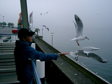 Bodensee