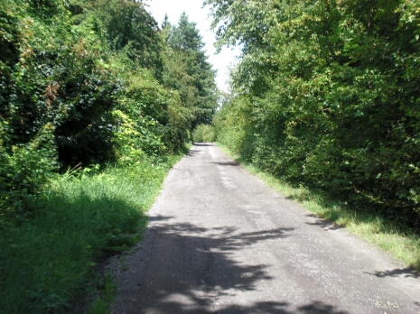 Weg zu Fischweiher