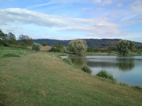 Fischweiher-1