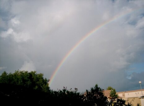 Regenbogen