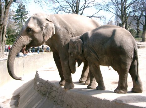 Hagenbeck