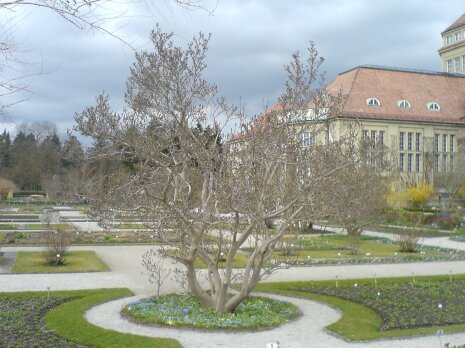 Botanischer Garten