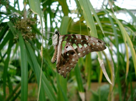 Botanischer Garten