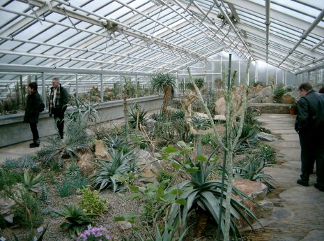 Botanischer Garten