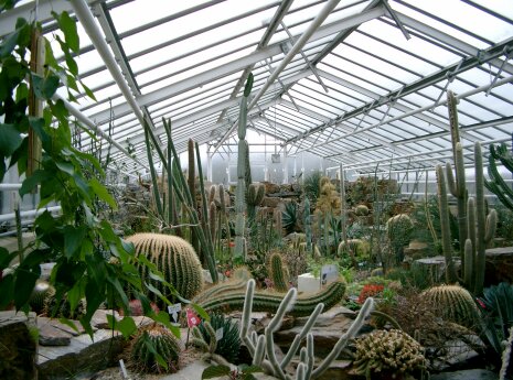 Botanischer Garten