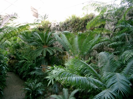 Botanischer Garten