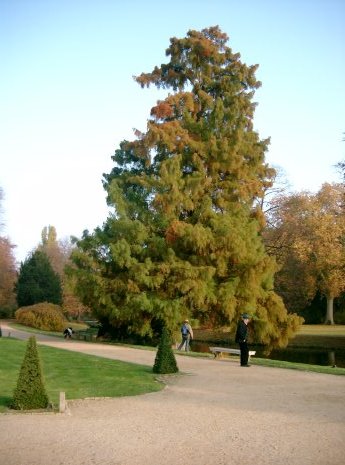 Sanssouci