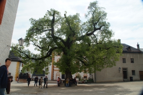 Salzburg-59