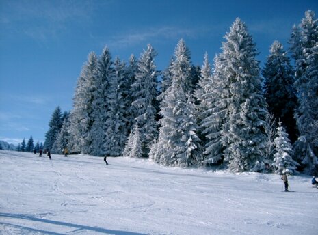 Piste