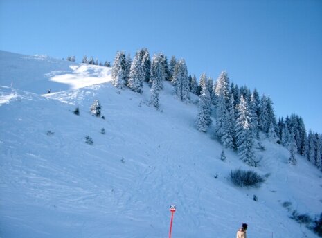 Piste