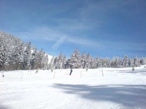 Piste