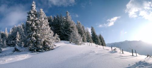 Panoraman-Großmutter-2