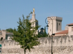 Avignon